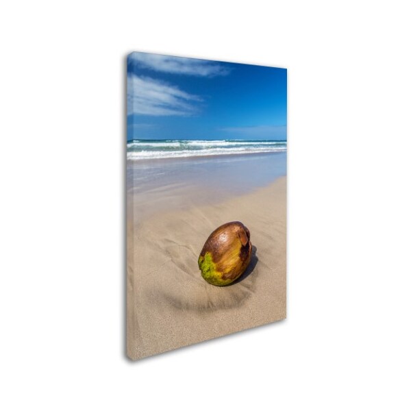 Pierre Leclerc 'Beached Coconut' Canvas Art,16x24